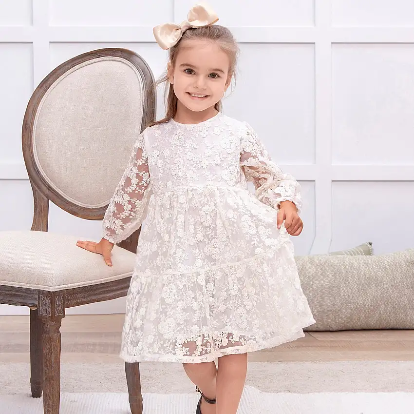 Ivory Lace Girls' Dress–embroidered Organza Special Occasion