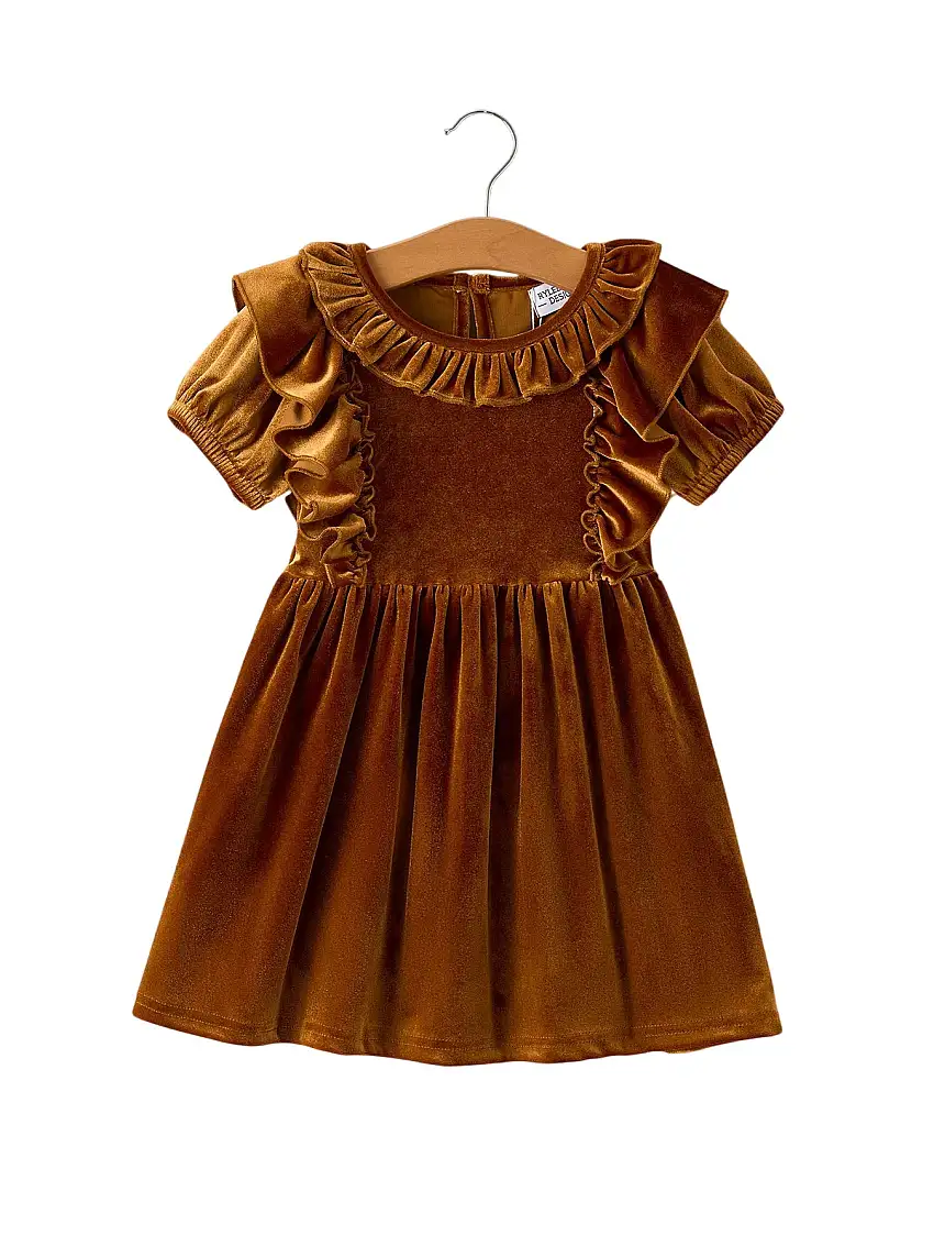 Autumn Brown Velvet Girls Dress