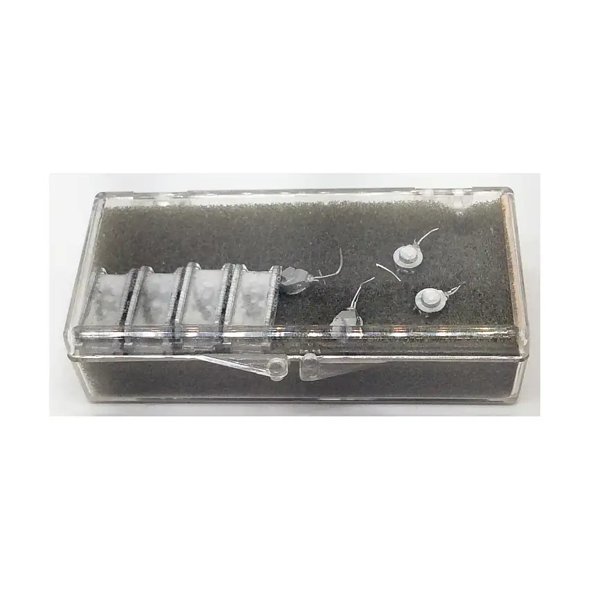 Stuart I Honey Light