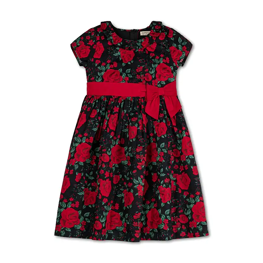 Ruffle Collar Party Dress - Baby