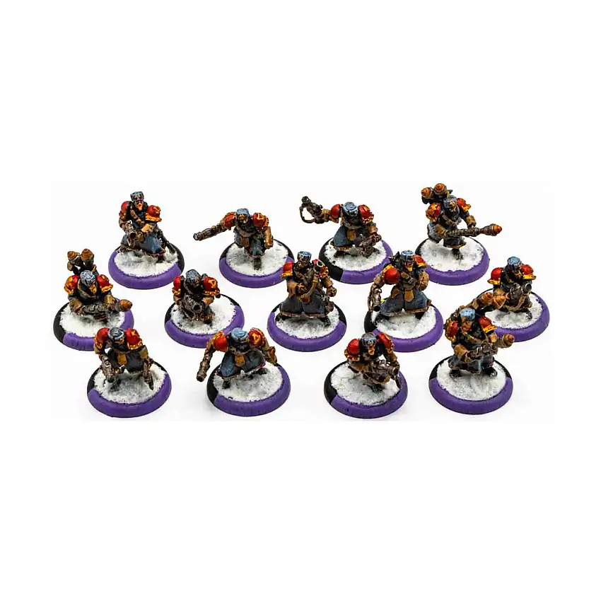 Winter Guard Infantry Collection #21