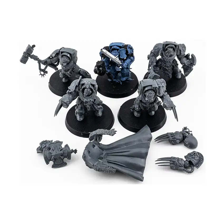 Wolf Guard Terminator Collection #36