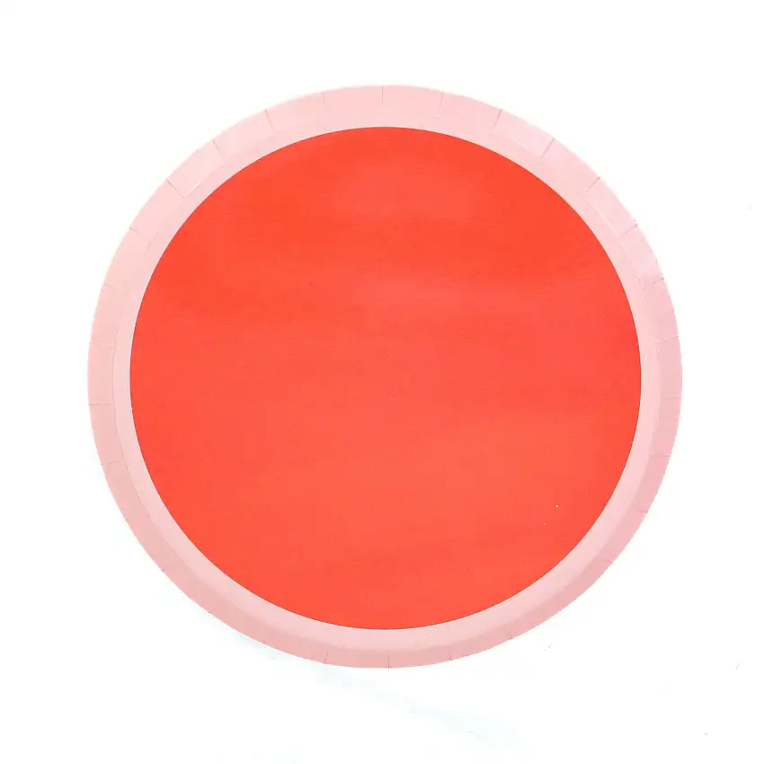 Pink And Strawberry Color Blocked Paper Plate