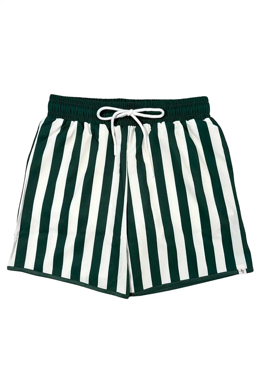 Men's Green Stripe Swim Shorts