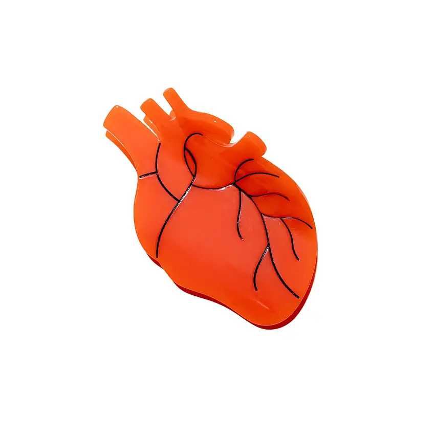 Anatomical Heart Hair Claw