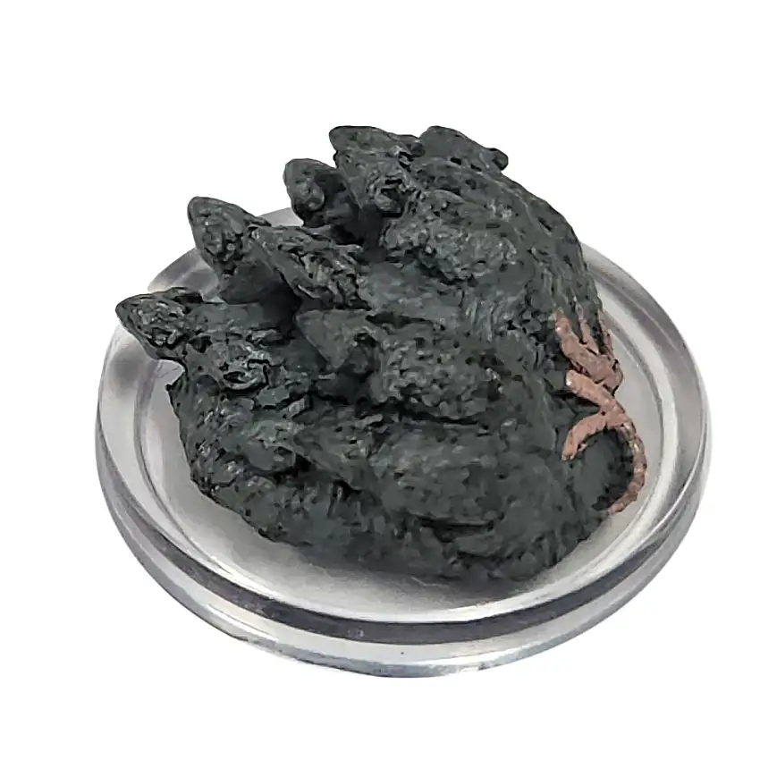 Ghost Light #24 Swarm of Rats (U)