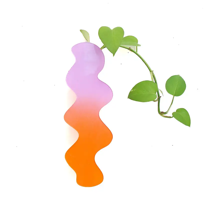 Orange And Labebder Squiggle Propagation Planter And Bud Vase