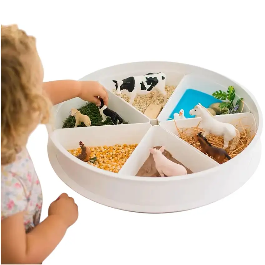 Sensory Play Tray With Removable Compartments And Lid