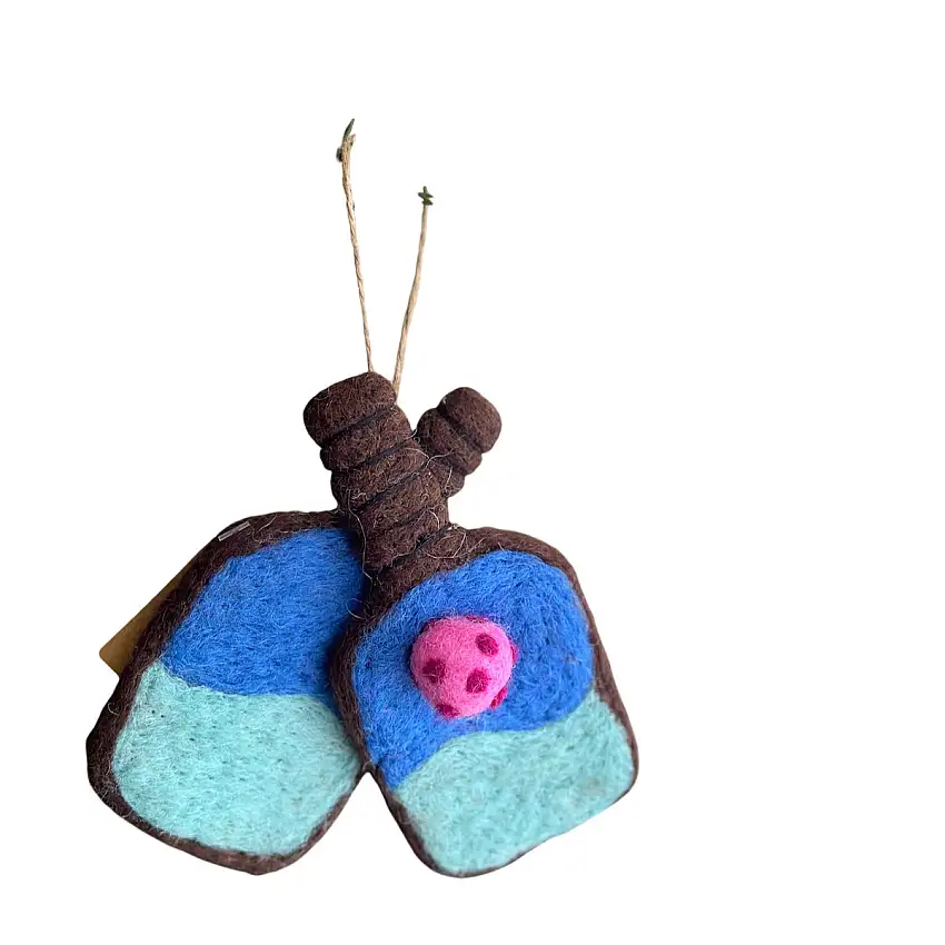 Pickle Ball Ornament