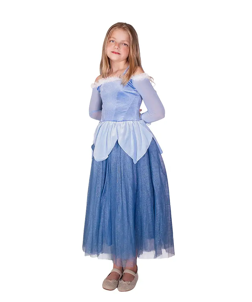 The Blue Sleeping Princess Dress