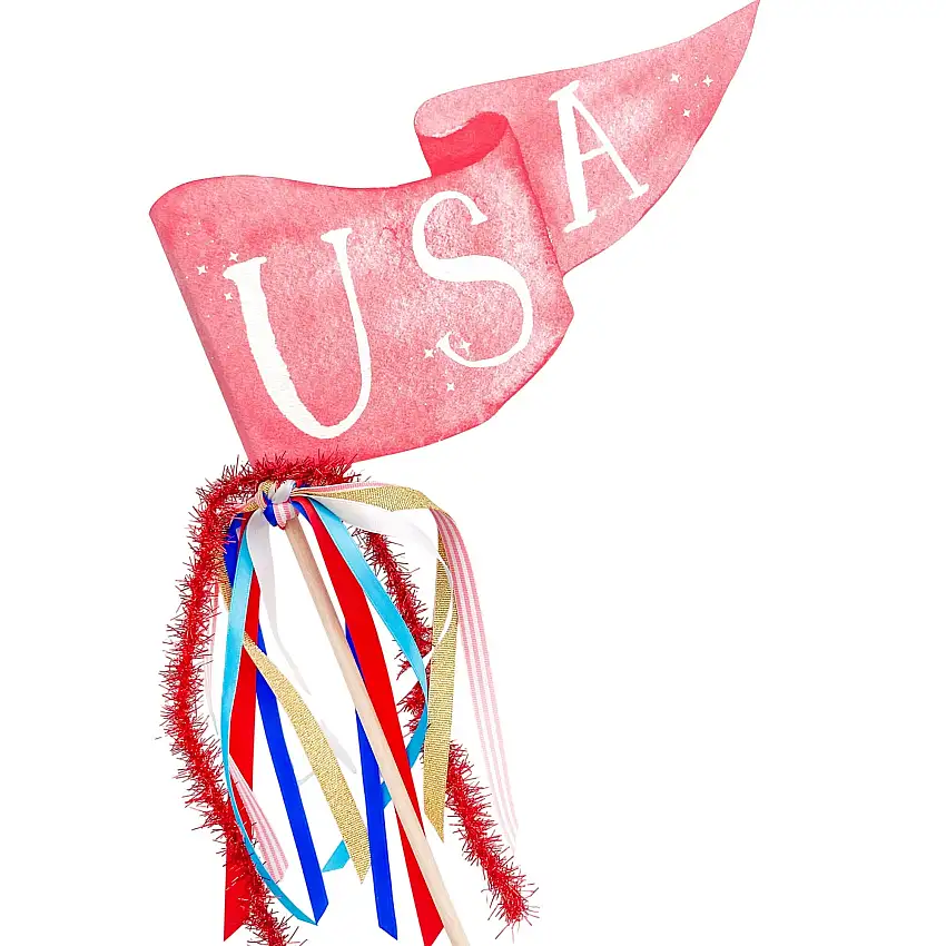 Usa Party Pennant