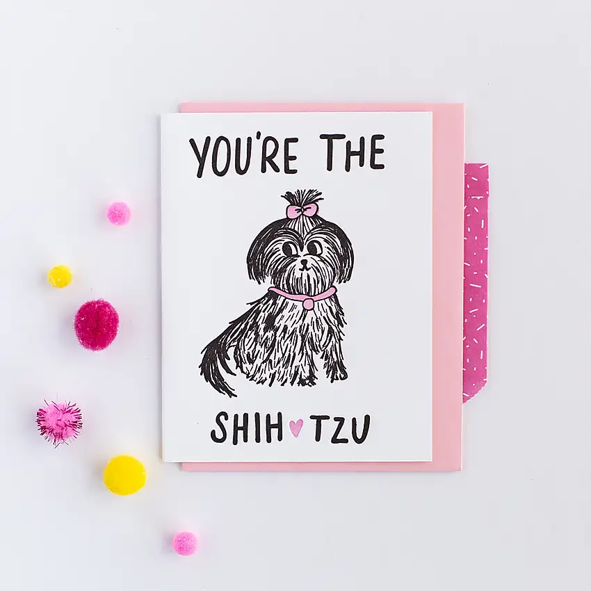 You're The Shih Tzu