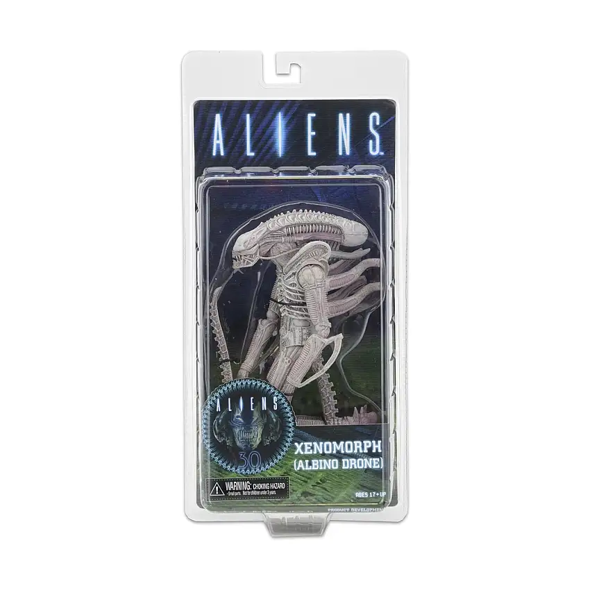 Xenomorph (Albino Drone)