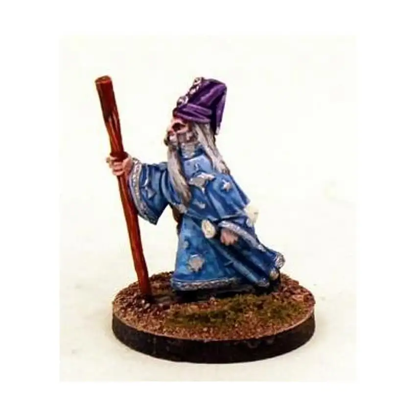 Wizard's Travelling Party