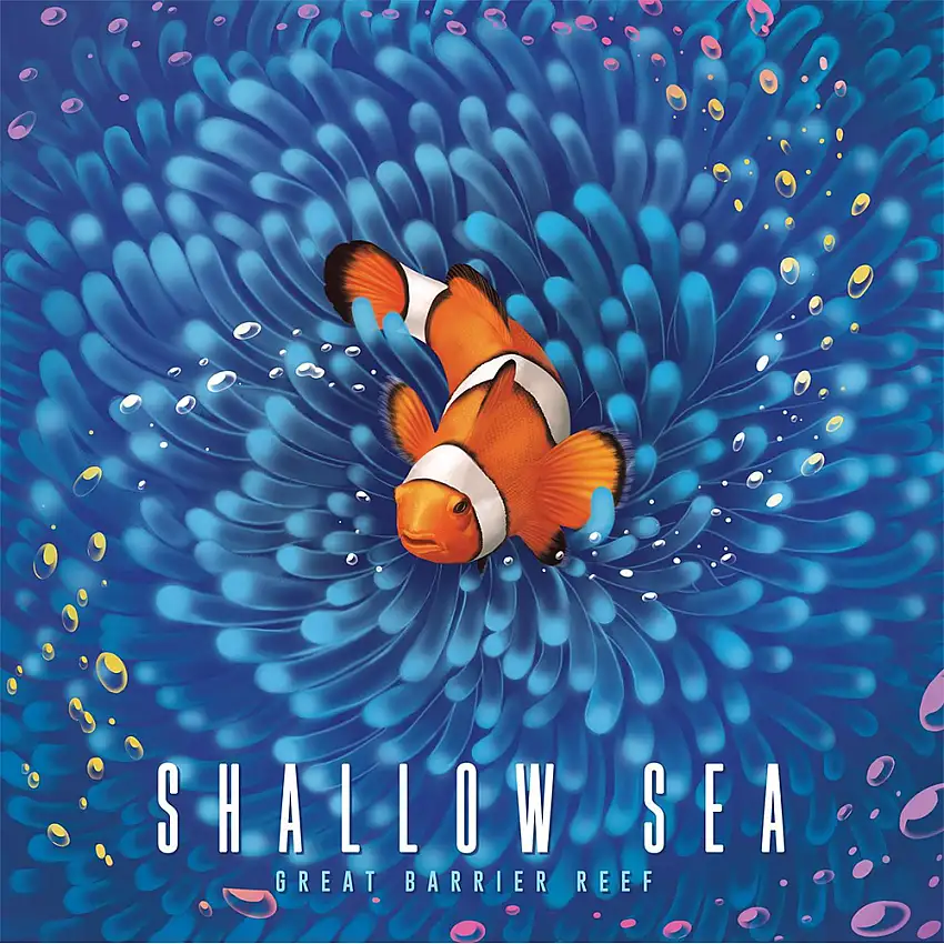 Shallow Sea (New Arrival)