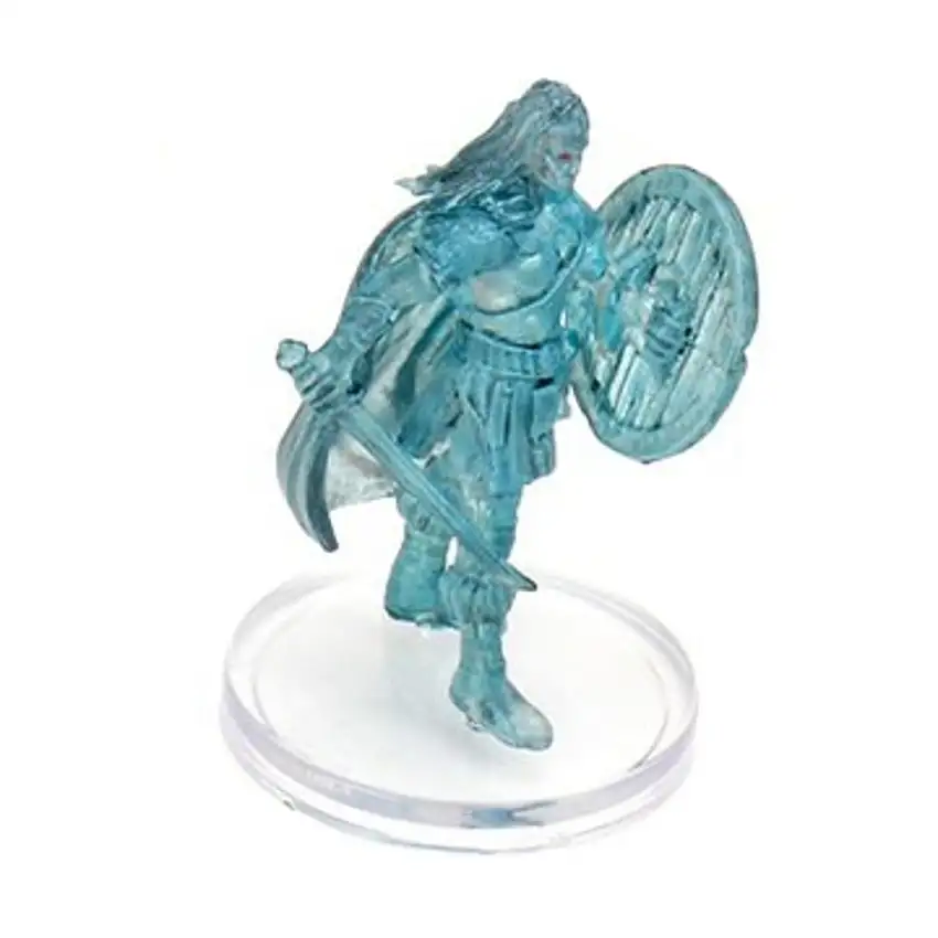 Sword Wraith Warrior