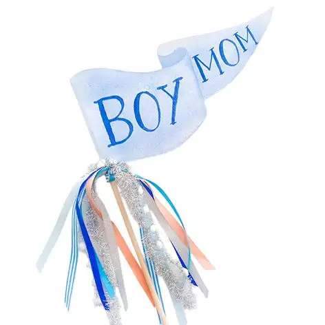 Boy Mom Party Pennant