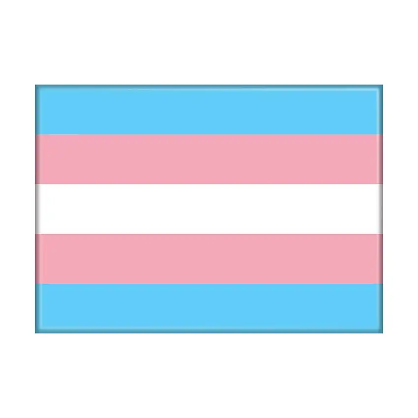 Transgender Pride Flag Magnet