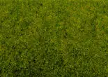 Noch 8300 HO Scale Static Grass - .7oz 20g -- Spring Green