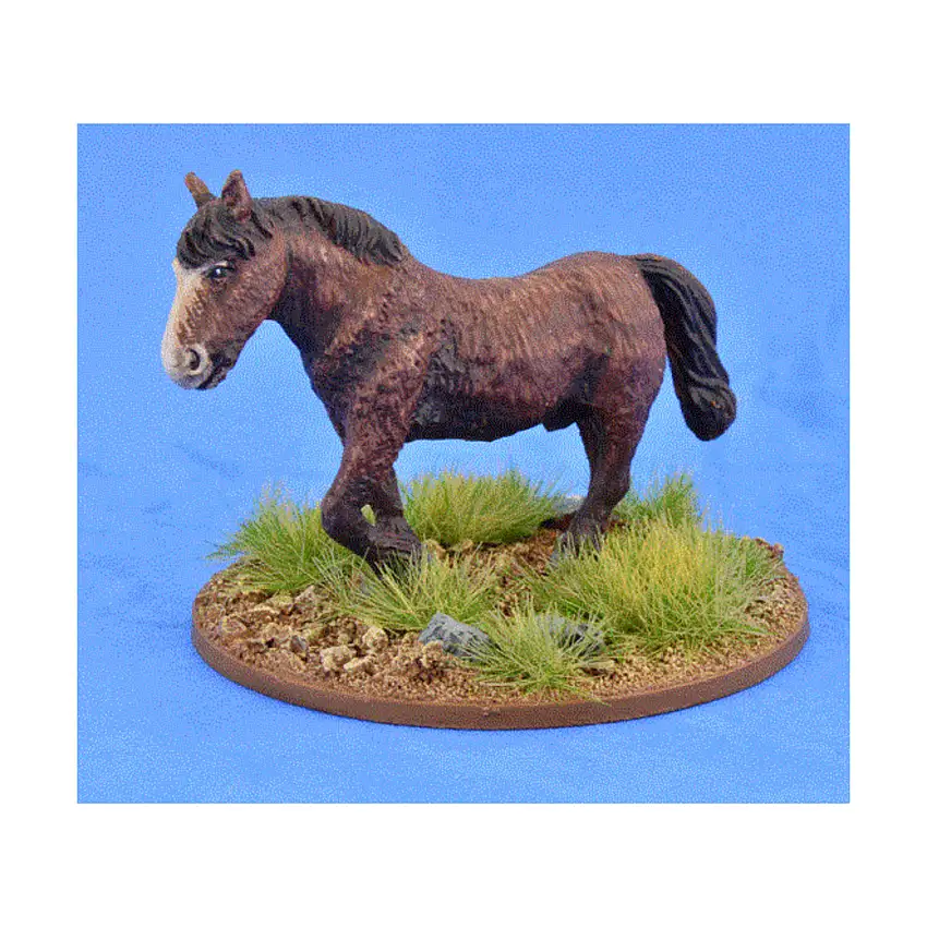 Shaggy Pony - Bareback