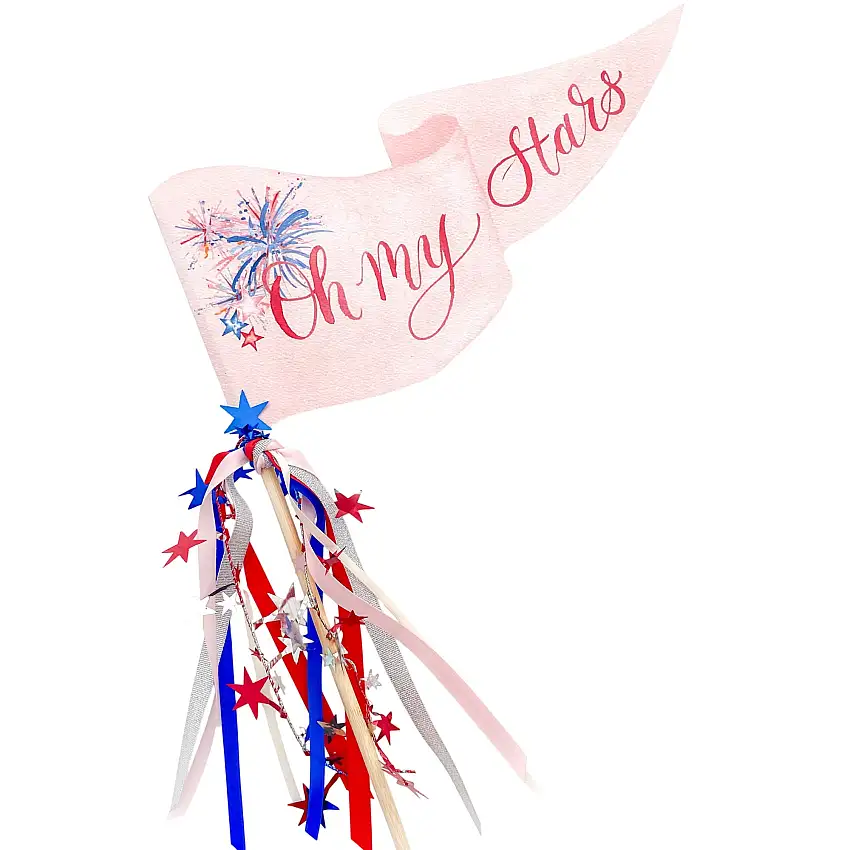 Oh My Stars Party Pennant
