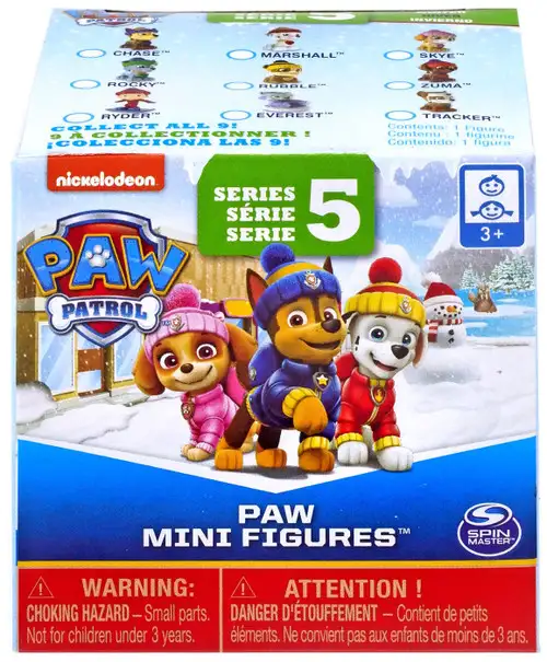 Paw Patrol Series 5 Paw Mini Figures Mystery Pack [1 RANDOM Figure]