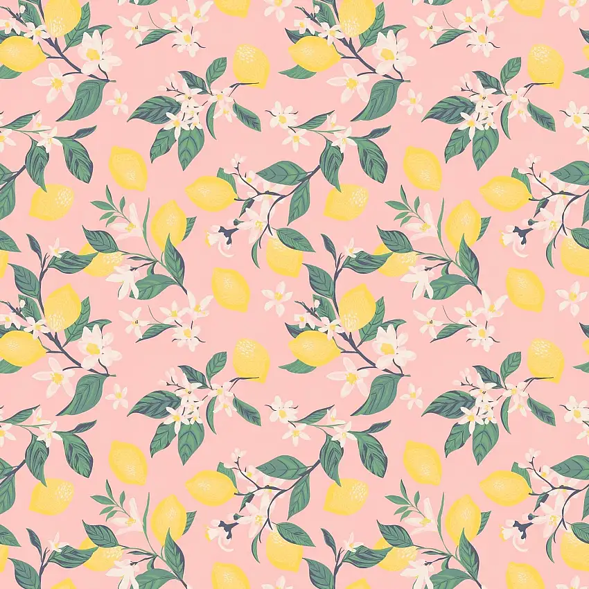 Pink Lemon Floral Print Cap Sleeve Swirly Girl Dress