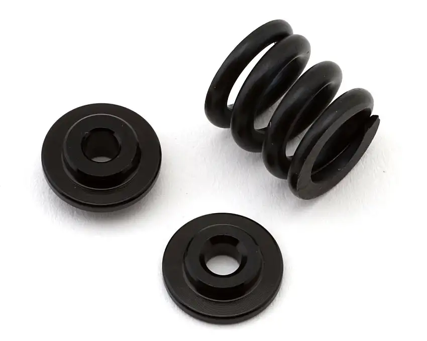 Team Losi Racing 22X Slipper Spring Set