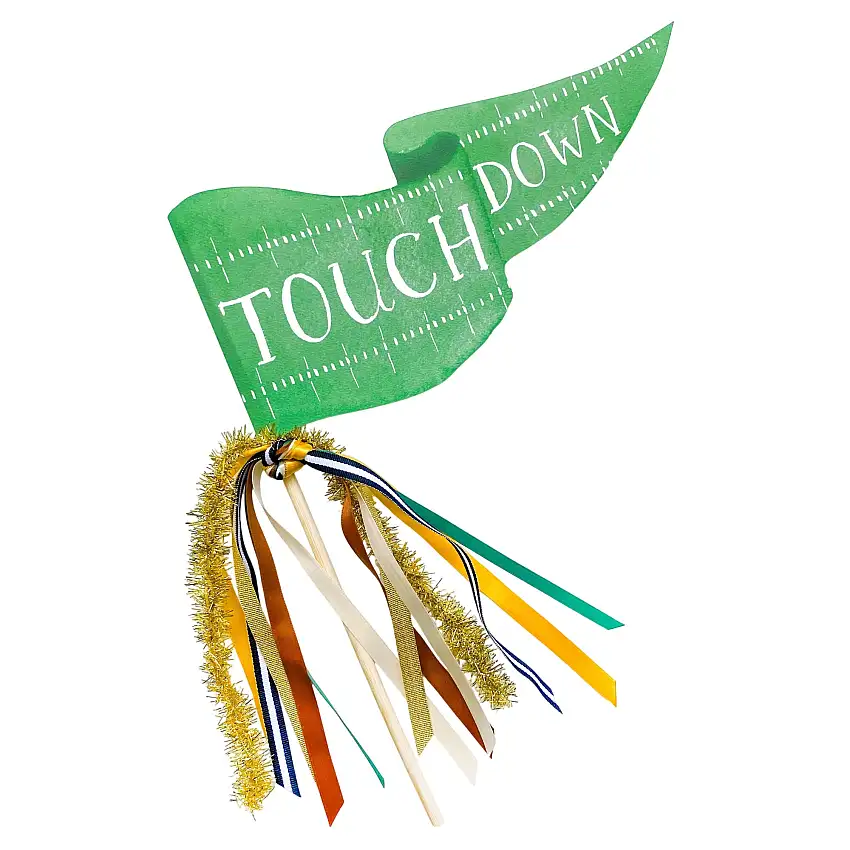 Touchdown Party Pennant