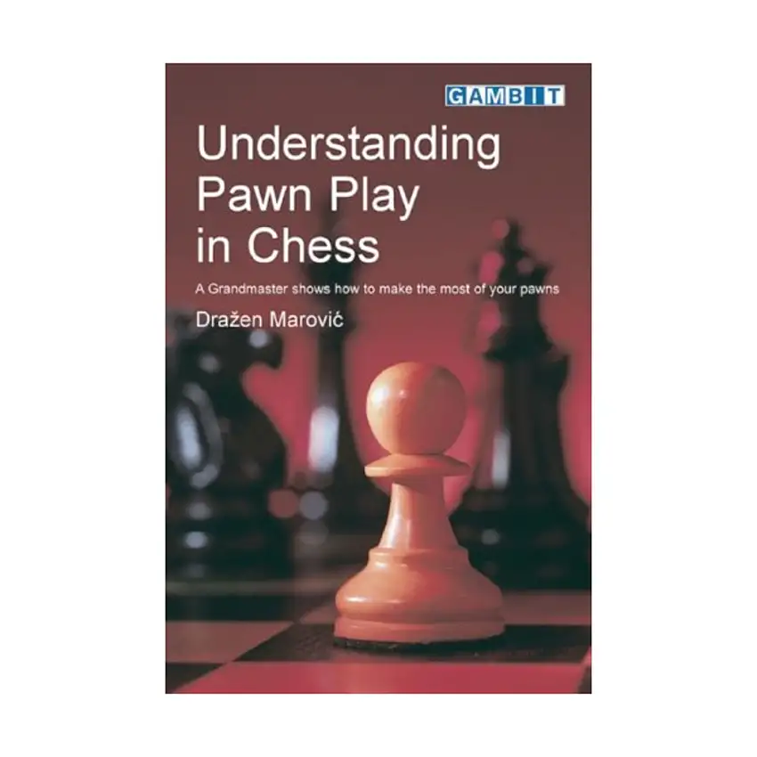 Understanding Pawn Play in Chess