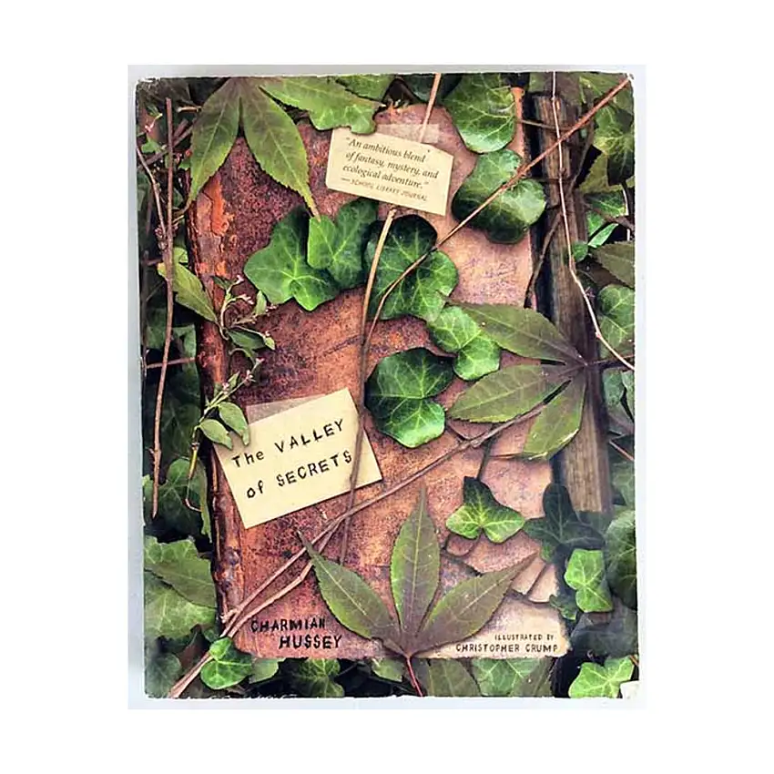 Valley of Secrets, The