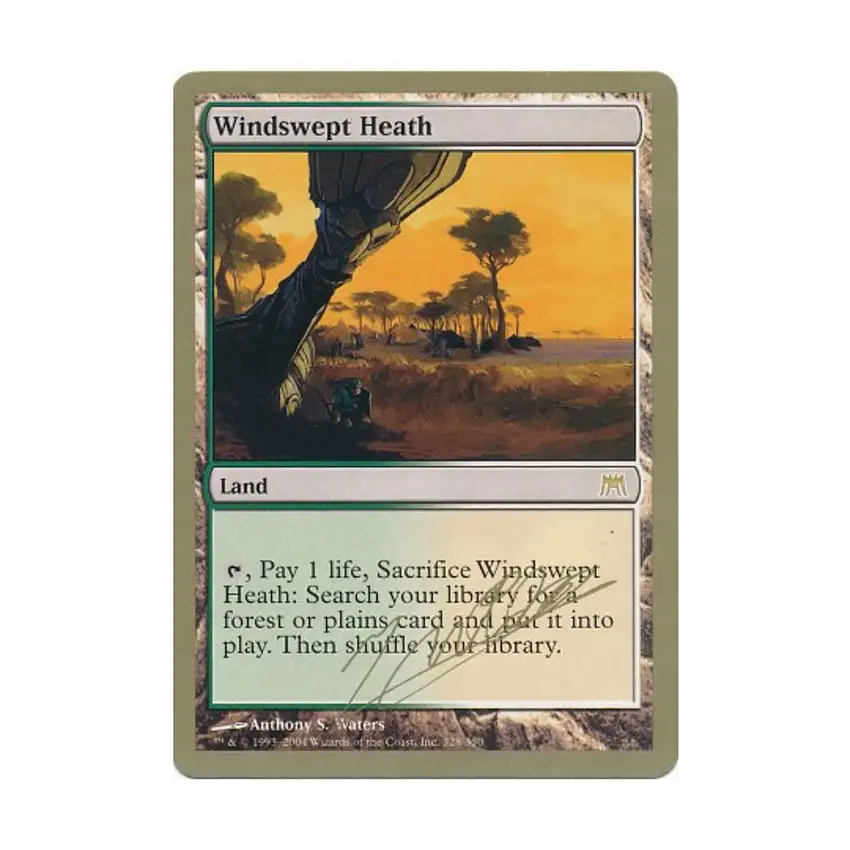 2004 World Championships - Windswept Heath