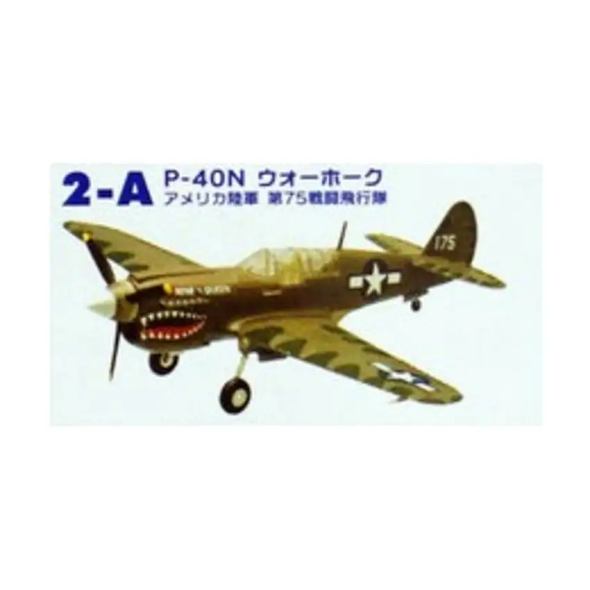 P-40N Warhawk US Army 75th Fighter Squadron (2-A)