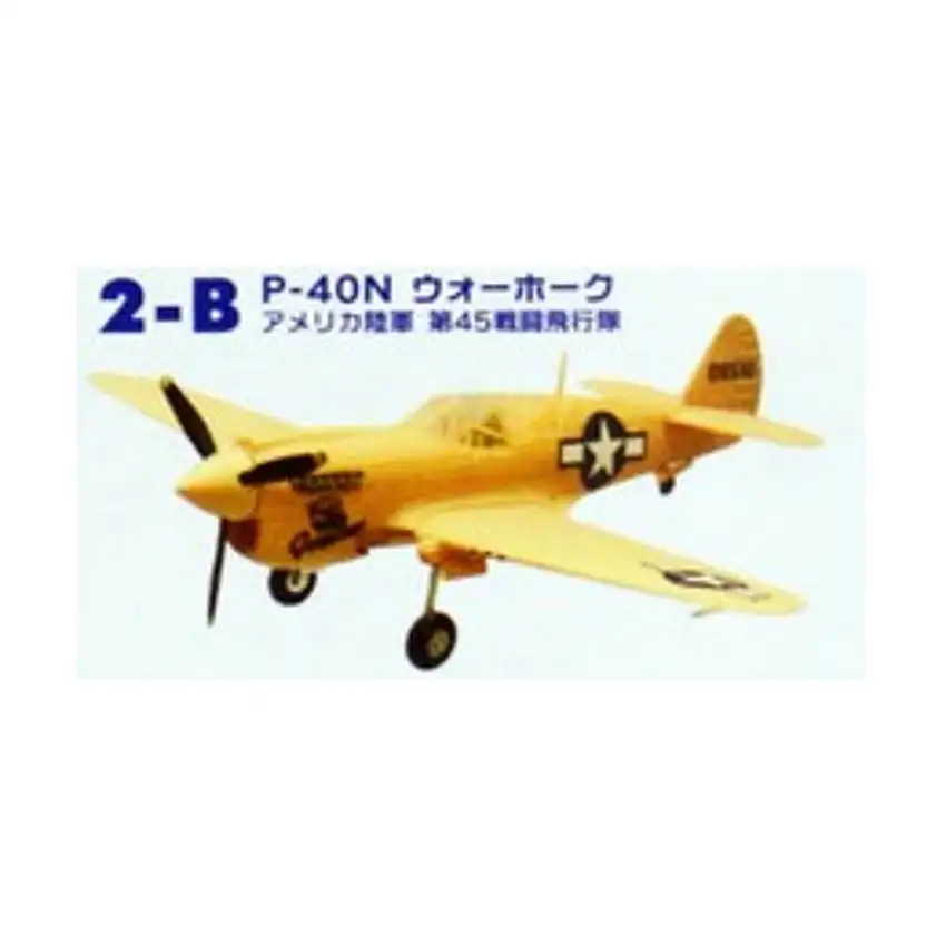 P-40N Warhawk U.S. Army 45th Fighter Squadron (2-B)