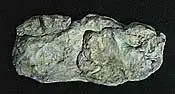 WOO-1242 Woodland Scenics Rock Mold- Washed Rock (10.5"x5")