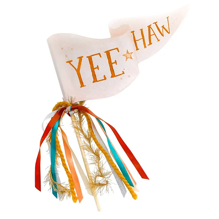Yeehaw Party Pennant